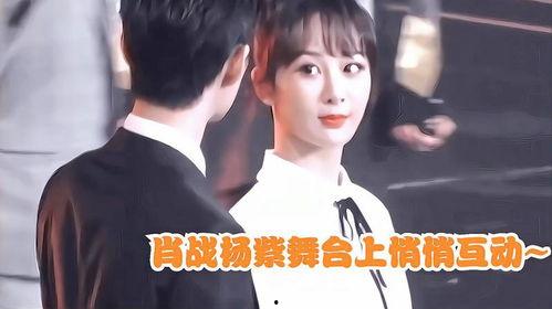 肖战杨紫最新圈内爆料是哪一期,哪一期节目引发热议？  第2张